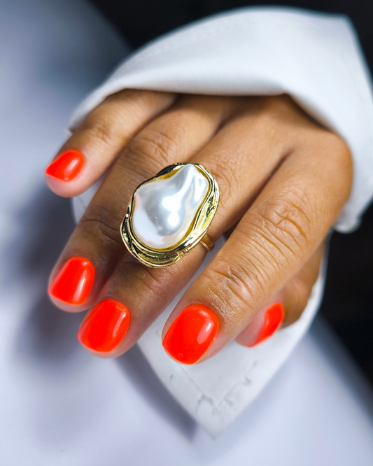 Les Bases Solides (offert)